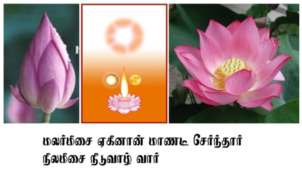 photo_6314243718244321540_y