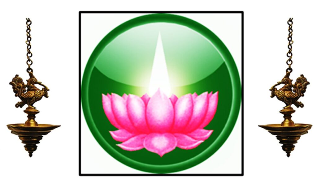 photo_6314243718244321541_y