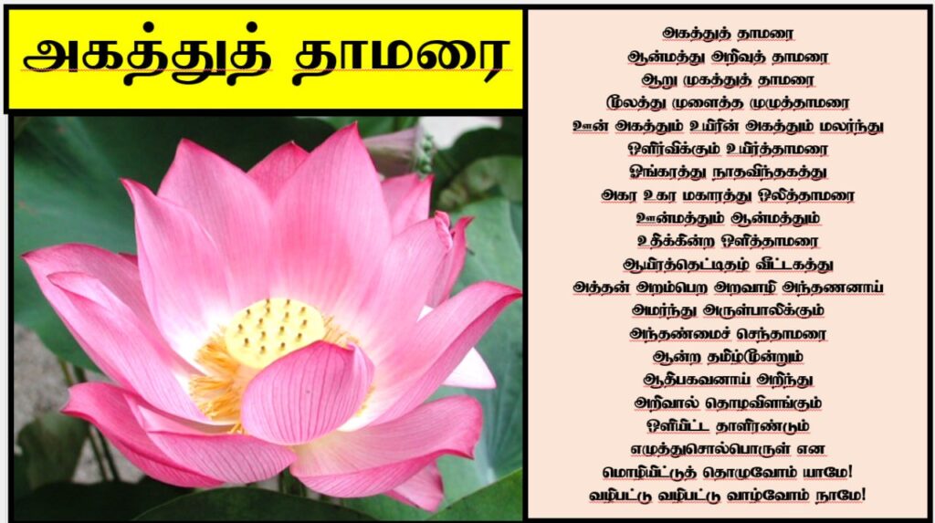 photo_6314243718244321542_y