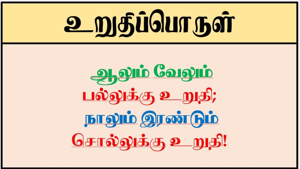 photo_6314243718244321547_y