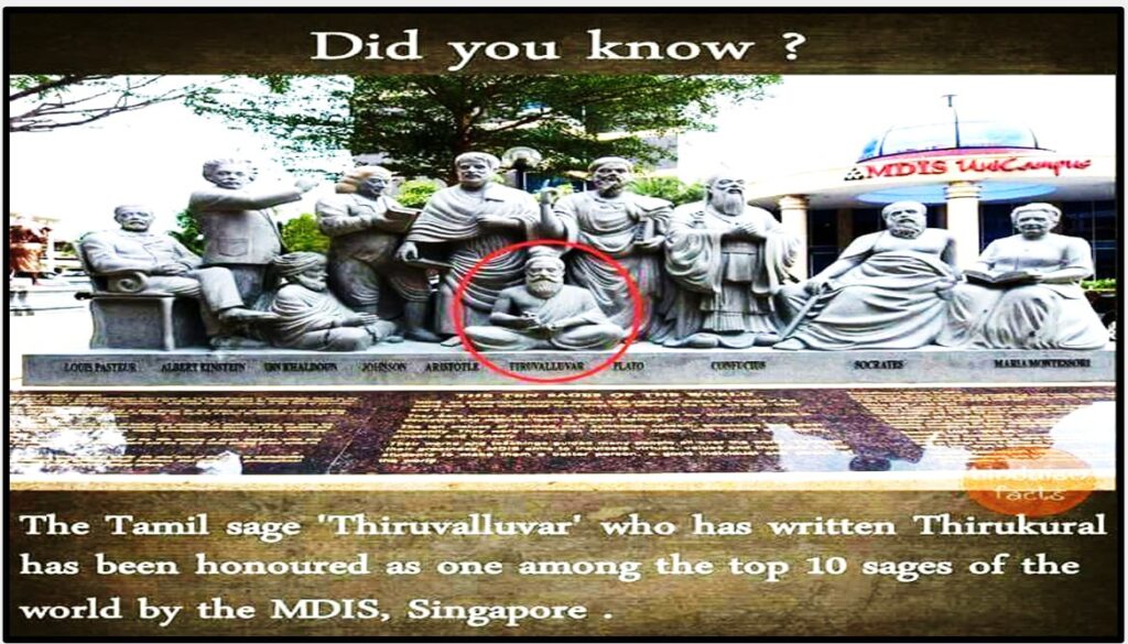 photo_6314243718244321548_y